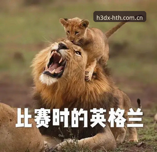 揭秘华体会官网体育资讯安卓版：别让这三个坑毁掉你的看球体验